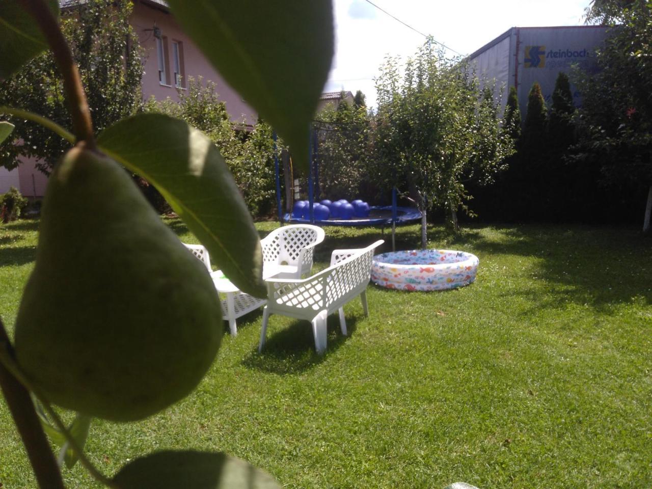 Elite Apartment Jasmina Bihać Zewnętrze zdjęcie